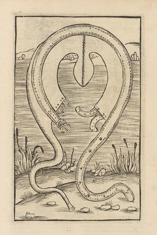 Vier Bücher der Ritterschafft Pl.043 as a canvas print