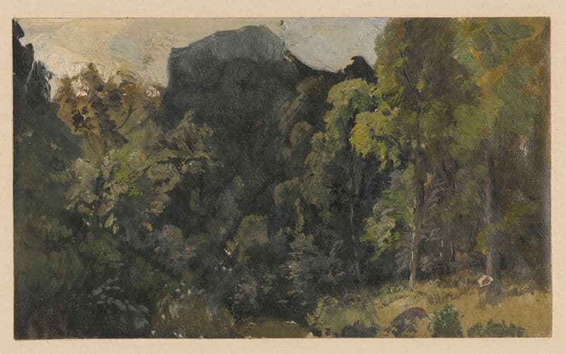 View of streamside marshland in the Szczawnik valley (1850-1881) as a canvas print