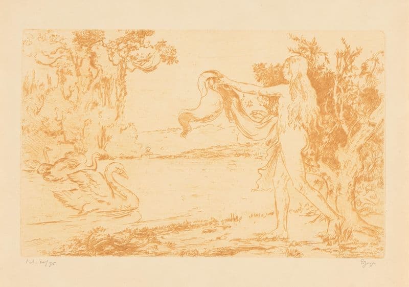 Vrouw met zwanen (1873-1931) as a canvas print