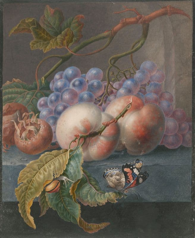 Vruchten met een vlinder en een slak as a canvas print