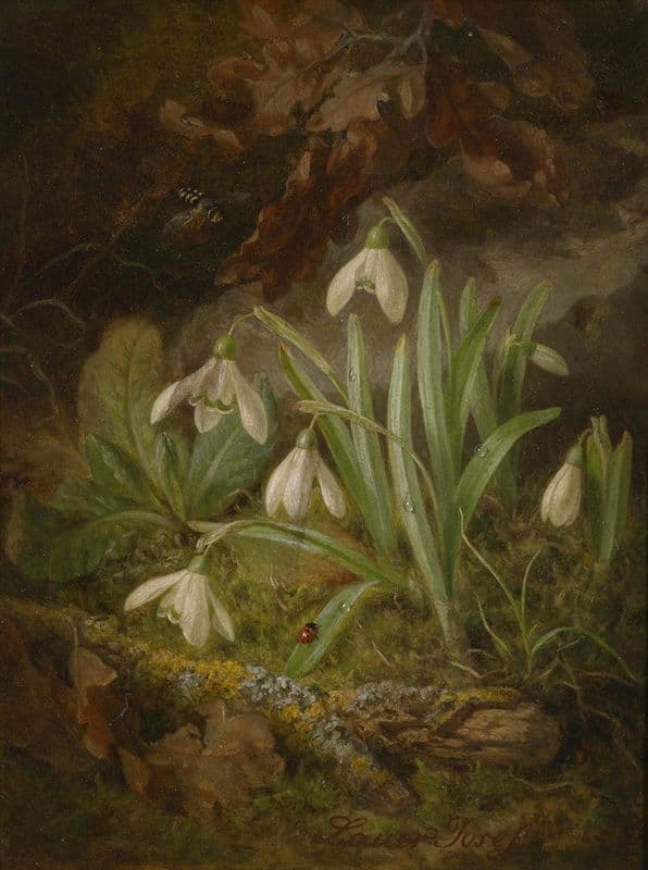 Waldbodenstück mit Schneeglöckchen as a canvas print