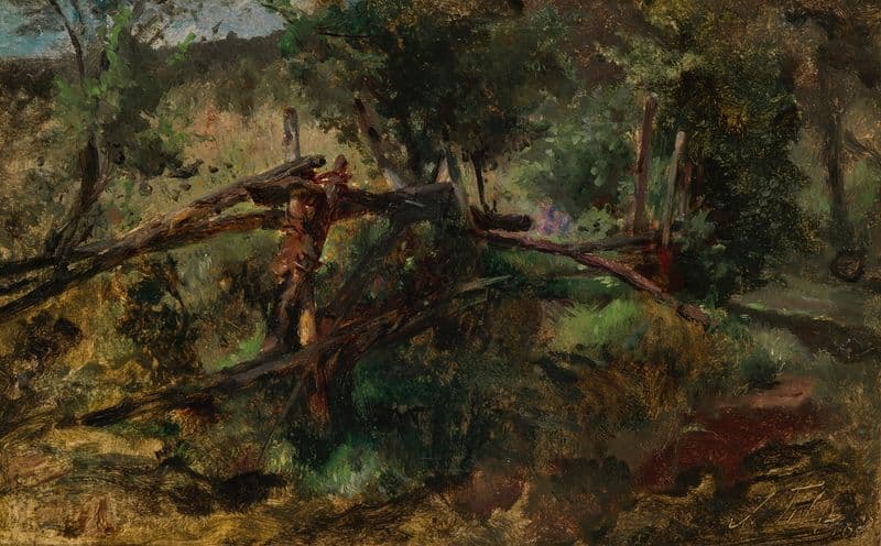 Waldweg mit Zaun as a canvas print