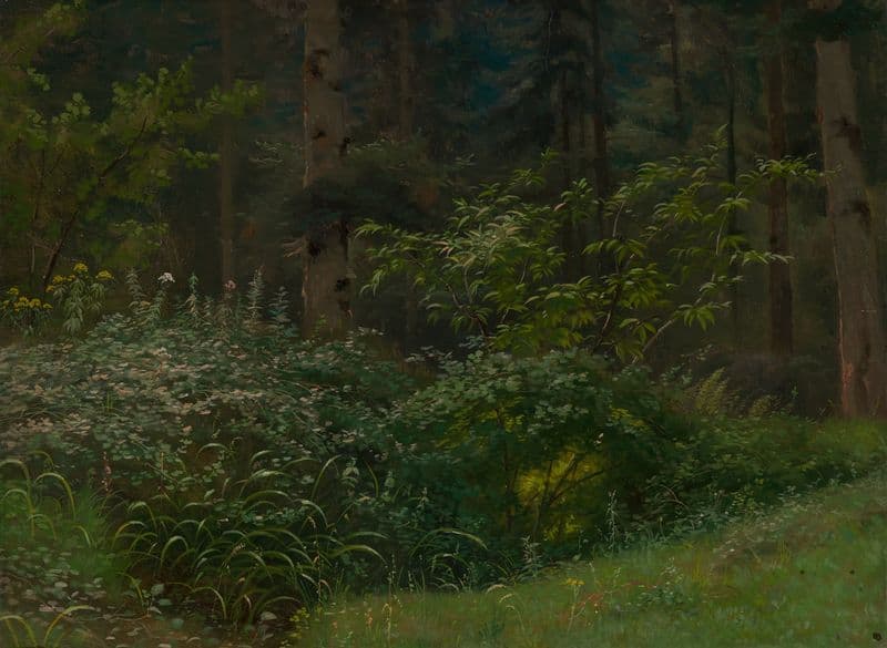 Waldwiese mit Stauden und Sträuchern (ca 1860) as a canvas print