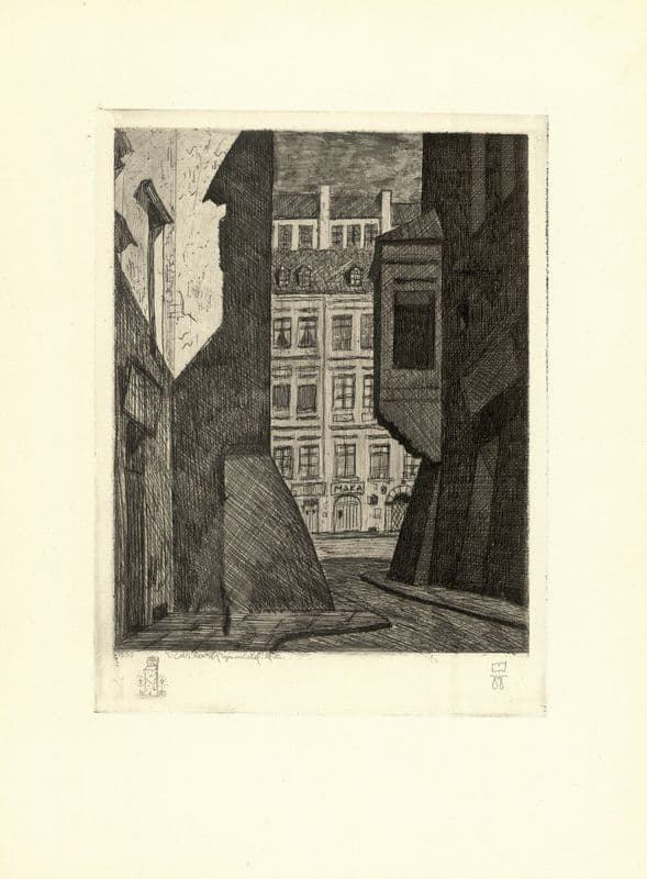Wąski Dunaj as a canvas print