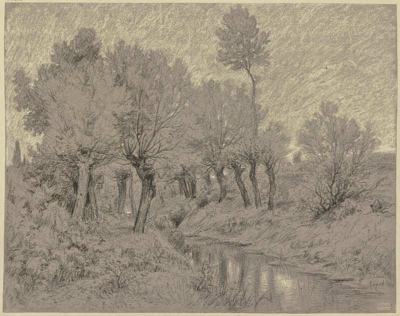 Willows at a stream as a canvas print