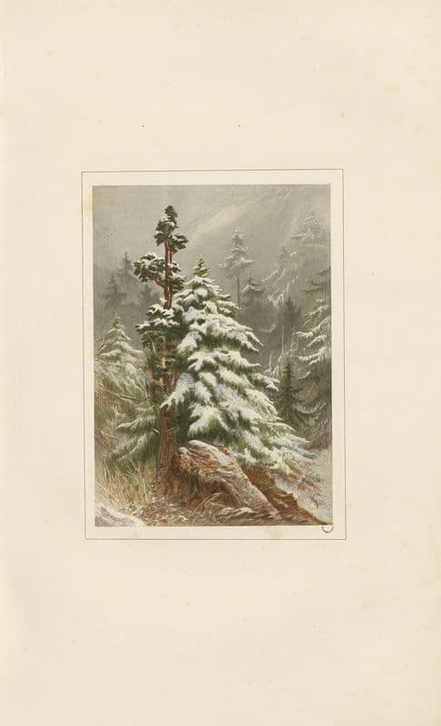 Winter as a canvas print