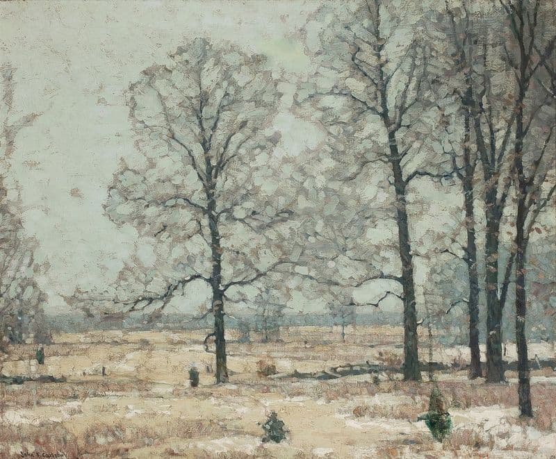 Winter Hickories as a canvas print
