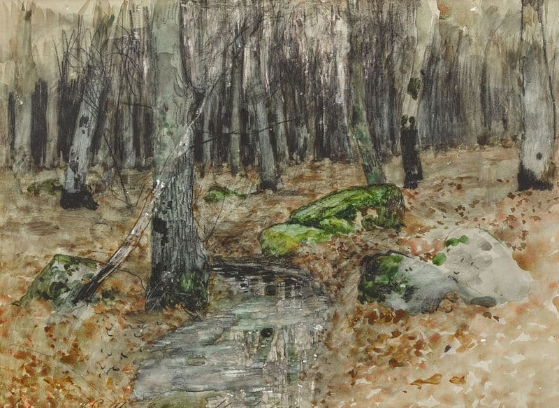 Woodland as a canvas print