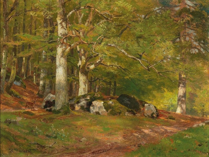 Woodland Scene with Deer as a canvas print