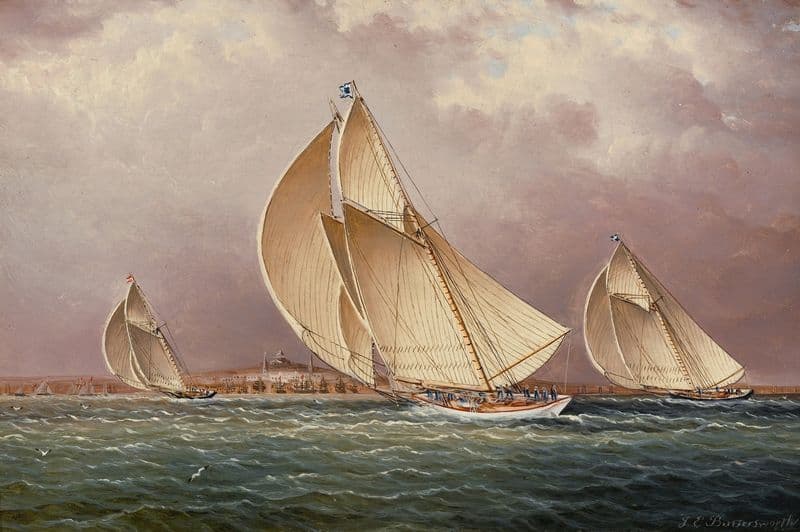 Yachting in Boston Harbor as a canvas print
