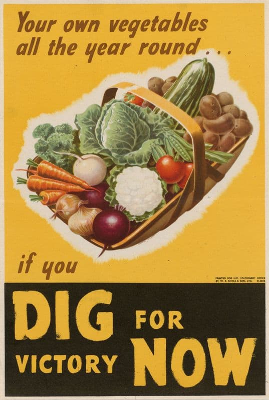 Your Own Vegetables all the Year Round…if You Dig for Victory Now as a canvas print