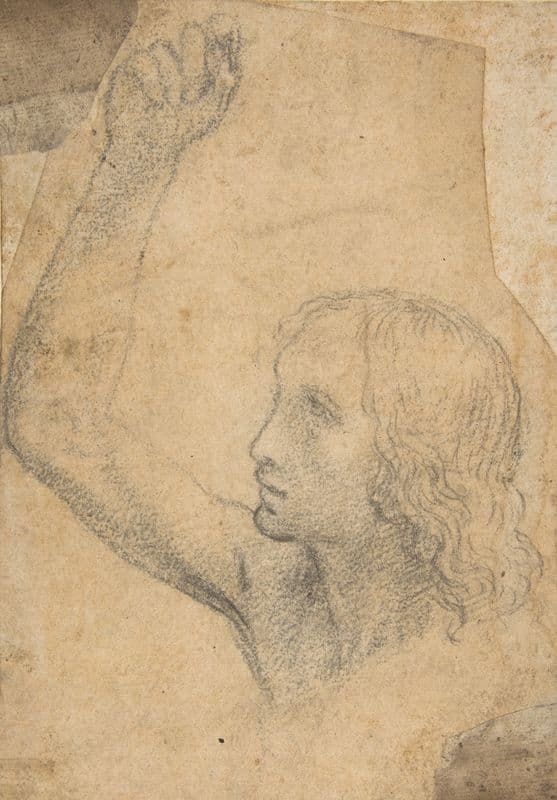 Youth with Right Arm Raised in a Shoulder-Length Portrayal (preparatory study for St. Sebastian) (ca. 1515) as a canvas print