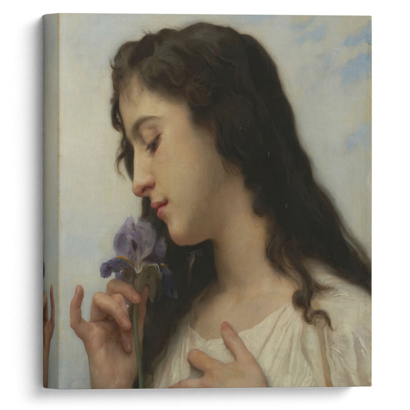 Woman with Iris (1895) - William Bouguereau - Canvas Print