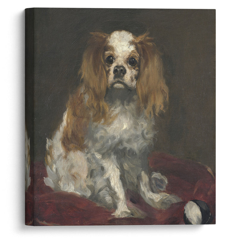 A King Charles Spaniel (c. 1866) - Édouard Manet - Canvas Print