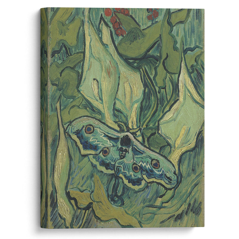 Emperor moth (1889) - Vincent van Gogh - Canvas Print