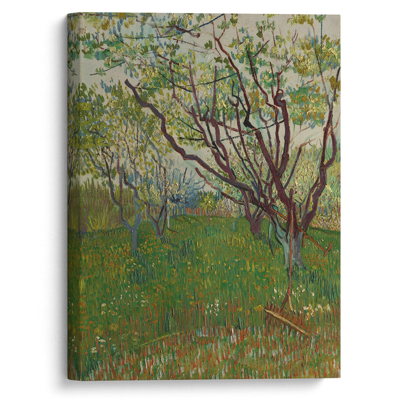 The Flowering Orchard (1888) - Vincent van Gogh - Canvas Print - UAIO LMT