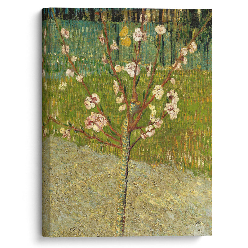 Almond tree in blossom - Vincent van Gogh - Canvas Print - UAIO LMT