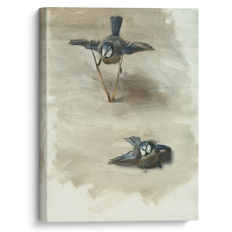 Studies of a Dead Bird (1878) - John Singer Sargent - Canvas Print