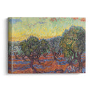 Olive Grove, Saint-Rémy (1889) - Vincent van Gogh - Canvas Print