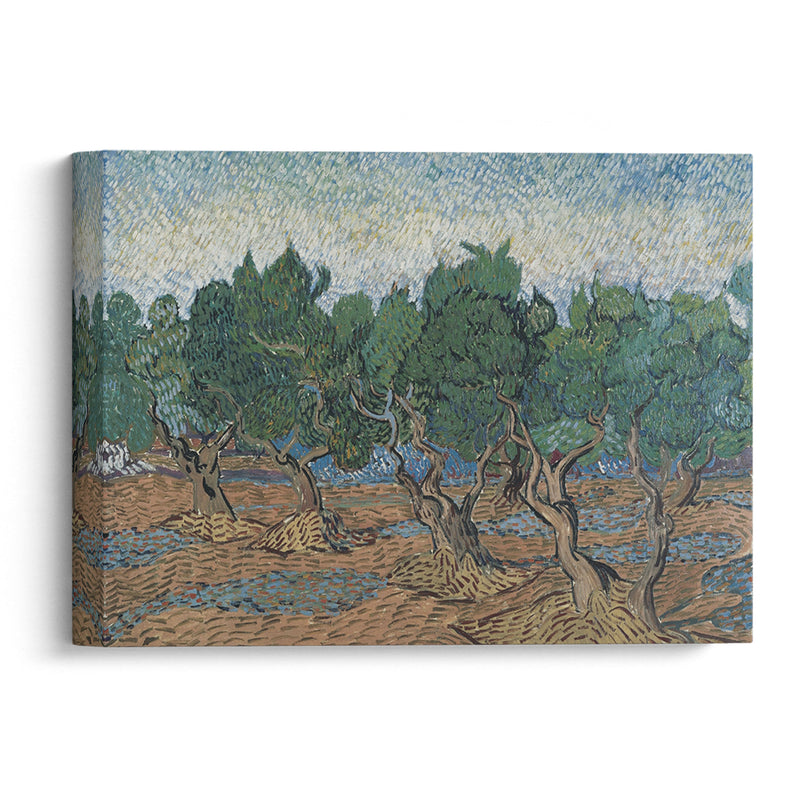 Olive grove - Vincent van Gogh - Canvas Print - UAIO LMT