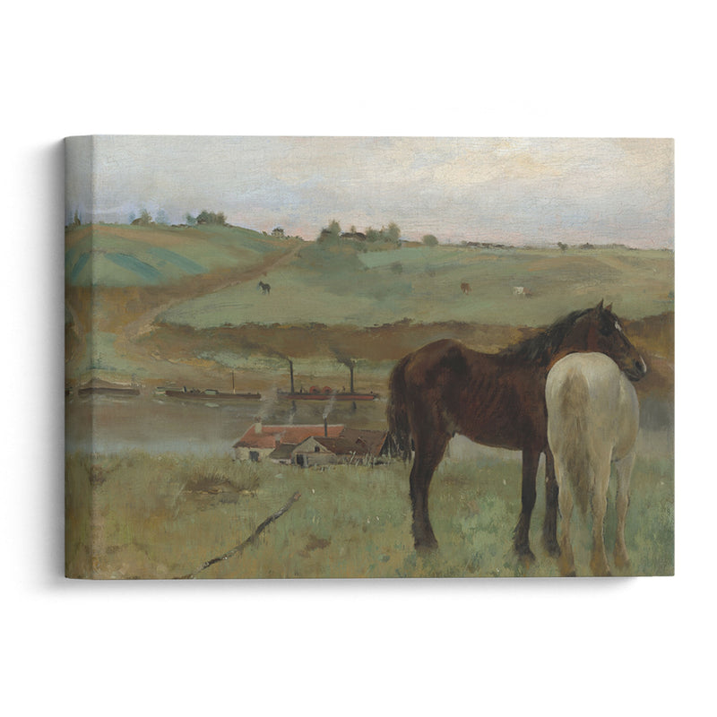 Horses in a Meadow (1871) - Edgar Degas - Canvas Print