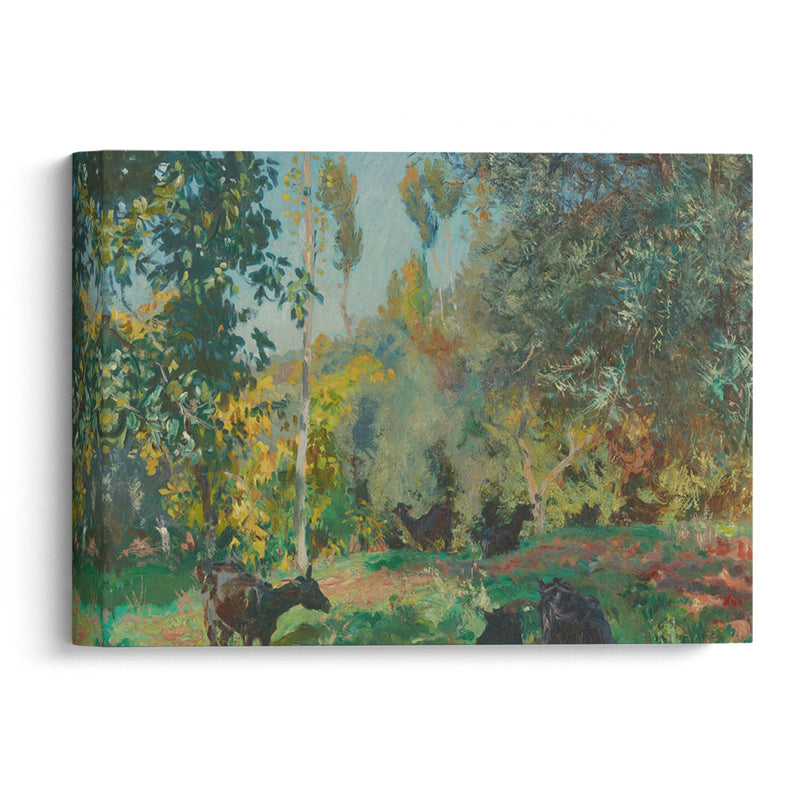 Landscape with Goats (1920) - John Singer Sargent - Canvas Print