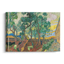The Garden of Saint-Paul Hospital (1889) - Vincent van Gogh - Canvas Print