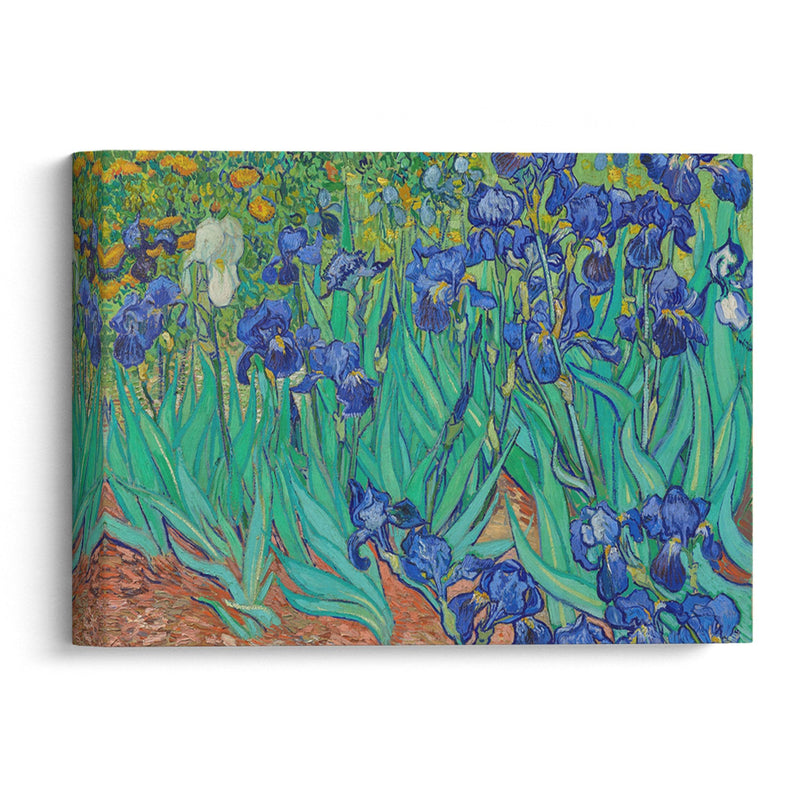 Irises (1889) - Vincent van Gogh - Canvas Print - UAIO LMT