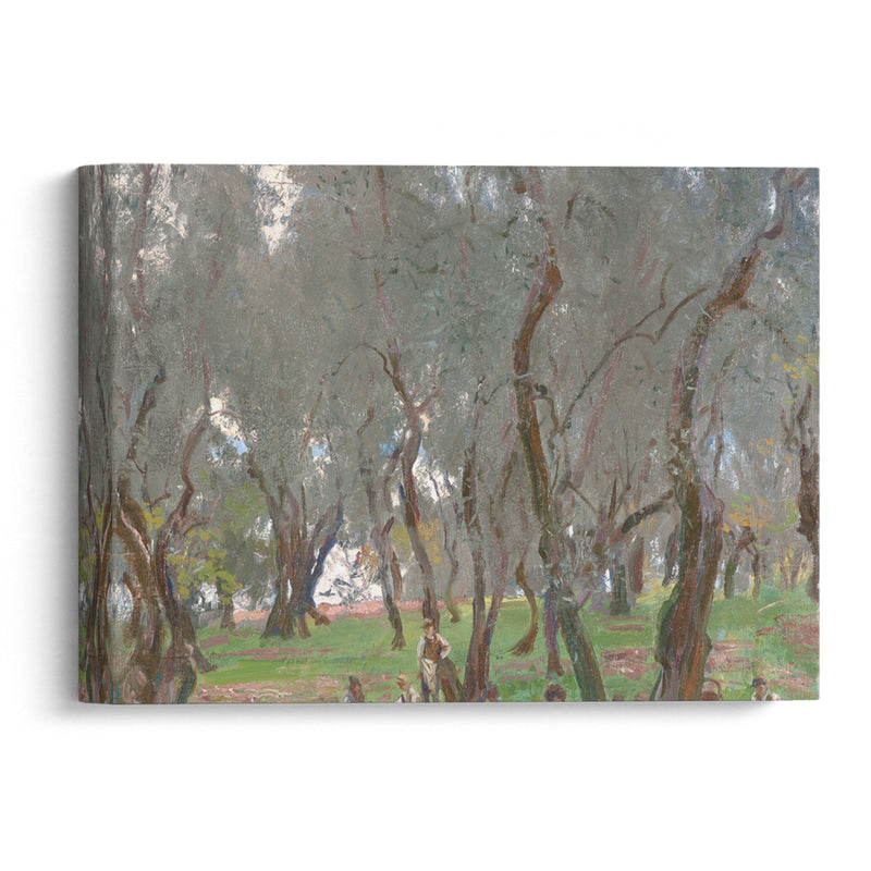 The Olive Grove (1910) - John Singer Sargent - Canvas Print