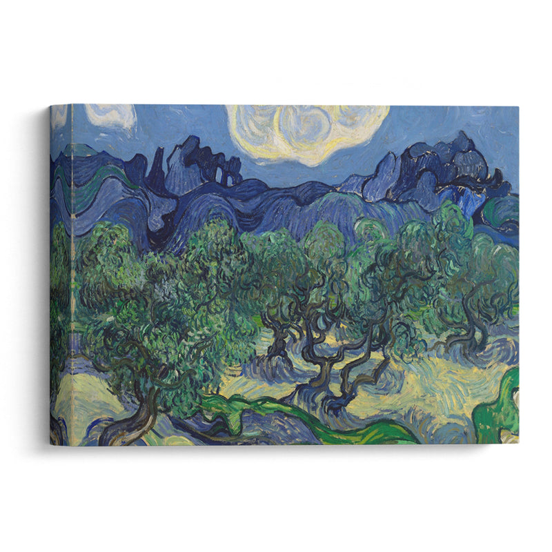 The Olive Trees (1889) - Vincent van Gogh - Canvas Print - UAIO LMT