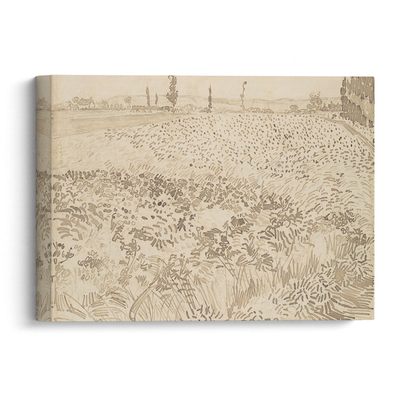 Wheat Field (1888) - Vincent van Gogh - Canvas Print