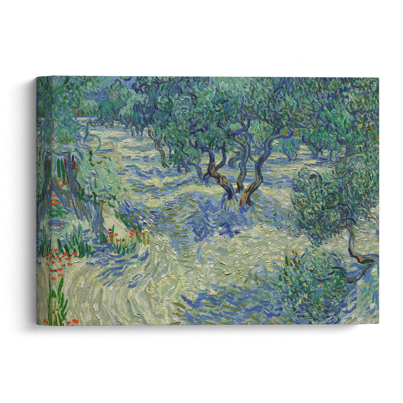 Olive Orchard - Vincent van Gogh - Canvas Print - UAIO LMT