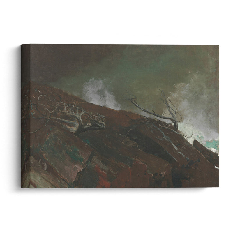 Coast of Maine (1893) - Winslow Homer - Canvas Print