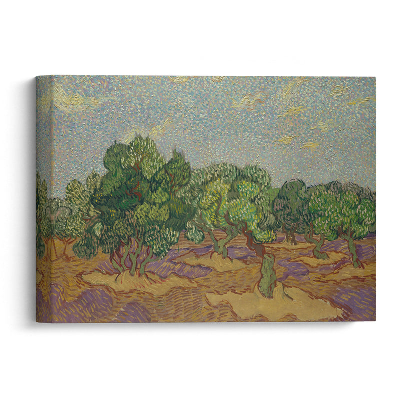 Olive Trees (1889) - Vincent van Gogh - Canvas Print - UAIO LMT