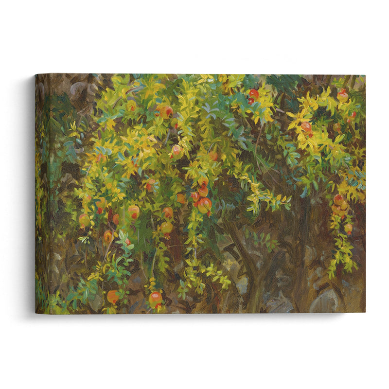 Pomegranates, Majorca - John Singer Sargent - Canvas Print