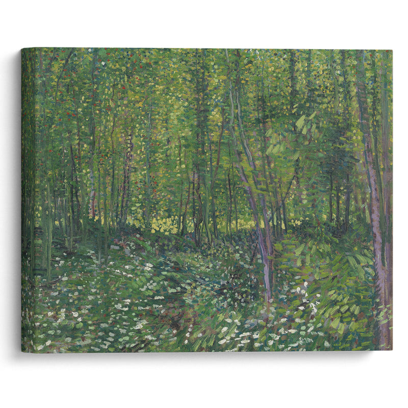 Trees and undergrowth (1887) - Vincent van Gogh - Canvas Print