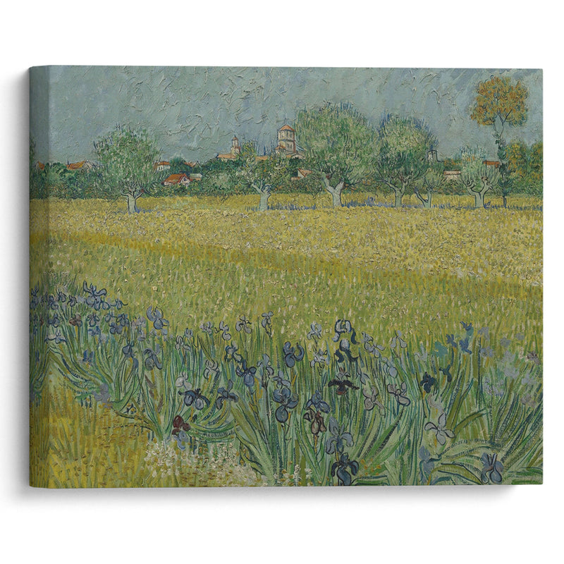 View of Arles with Irises (1888) - Vincent van Gogh - Canvas Print