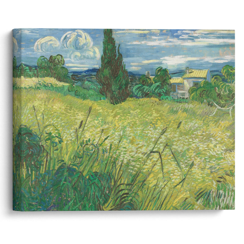 Green Field (1889) - Vincent van Gogh - Canvas Print - UAIO LMT