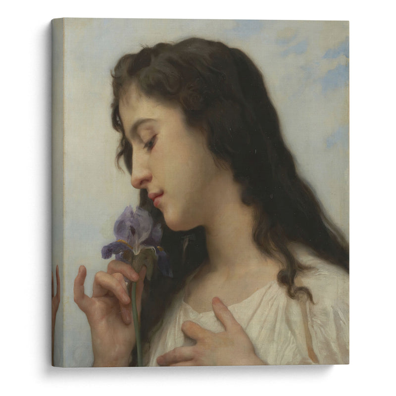 Woman with Iris (1895) - William Bouguereau - Canvas Print