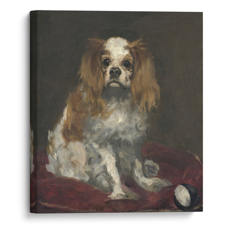 A King Charles Spaniel (c. 1866) - Édouard Manet - Canvas Print