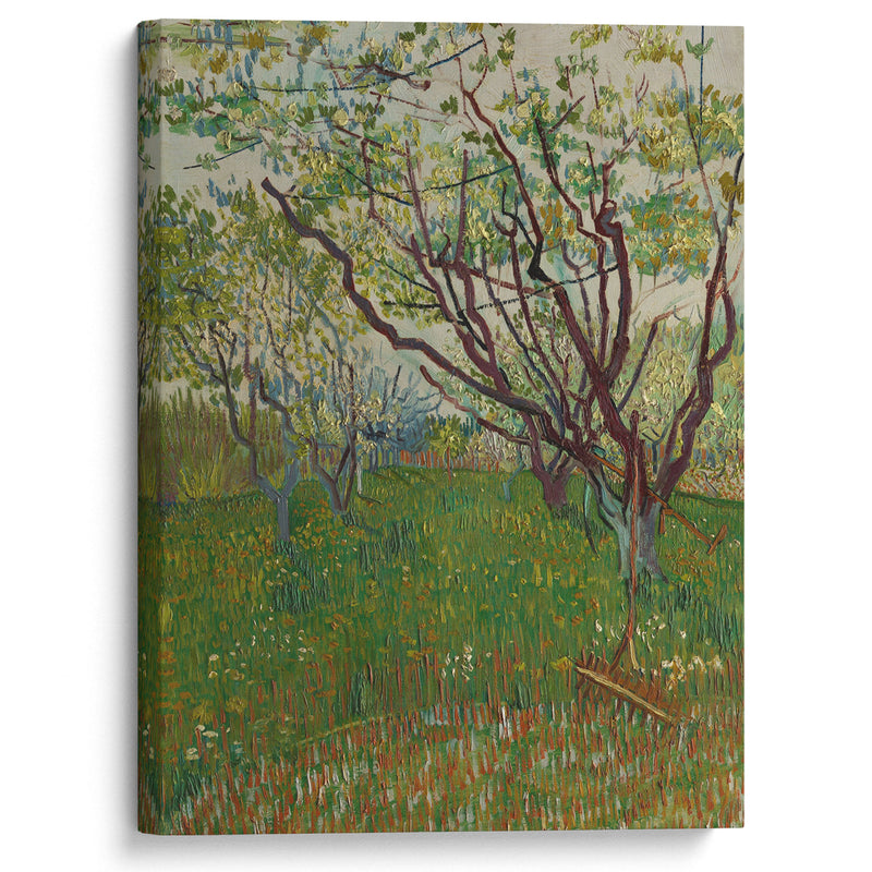 The Flowering Orchard (1888) - Vincent van Gogh - Canvas Print - UAIO LMT