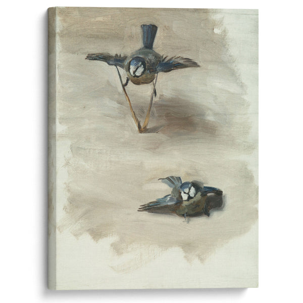 Studies of a Dead Bird (1878) - John Singer Sargent - Canvas Print