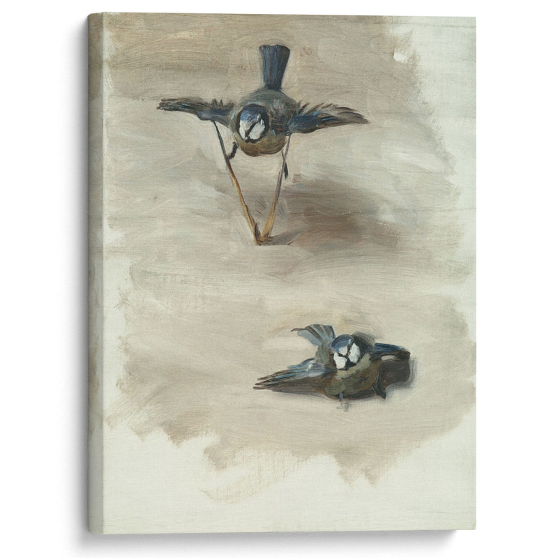 Studies of a Dead Bird (1878) - John Singer Sargent - Canvas Print