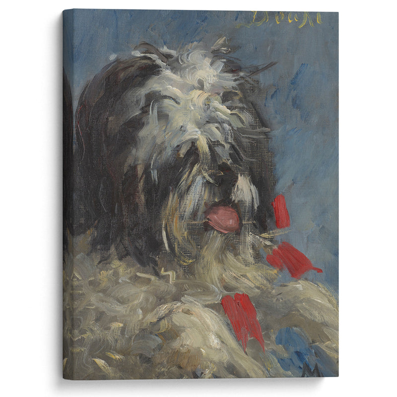 Le chien ‘Donki’ (1876) - Édouard Manet - Canvas Print