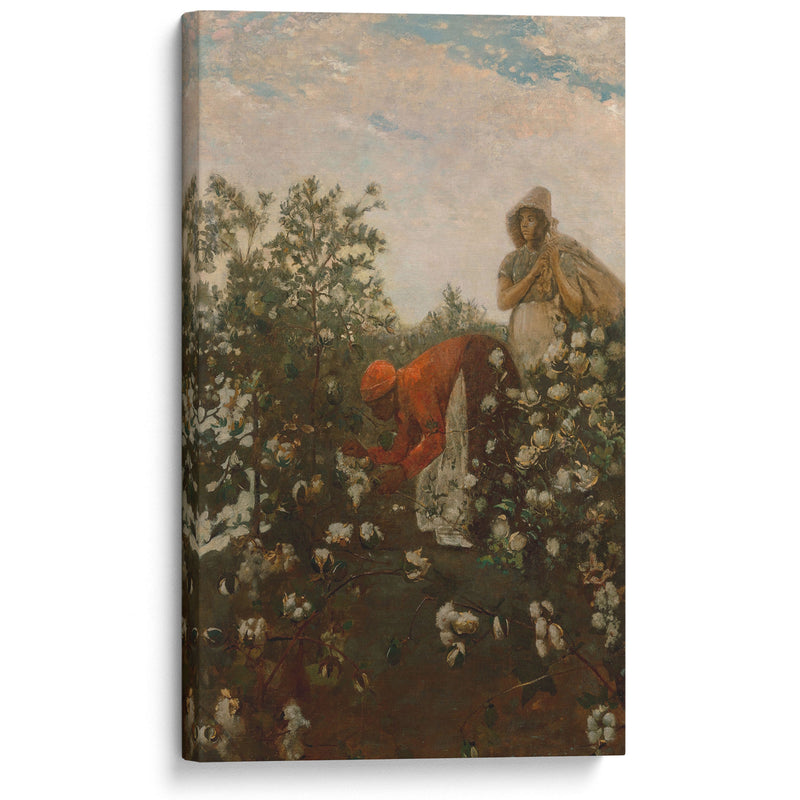 Upland Cotton (1879-1895) - Winslow Homer - Canvas Print