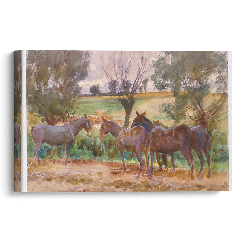 Mules (1918) - John Singer Sargent - Canvas Print