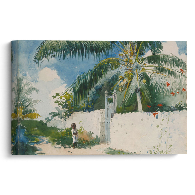 A Garden in Nassau (1885) - Winslow Homer - Canvas Print