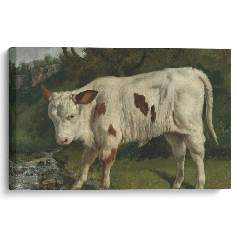 Le Veau Blanc - Gustave Courbet - Canvas Print
