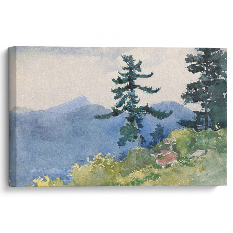 North Woods Club, Adirondacks (The Interrupted Tete-a-Tete) (1892) - Winslow Homer - Canvas Print