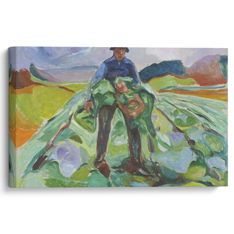 Man in the Cabbage Field (1916) - Edvard Munch - Canvas Print